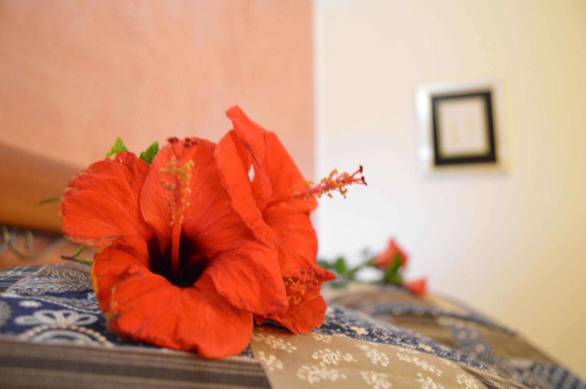 Mar Dei Poeti - Luxury Suites Torre Archirafi Kültér fotó